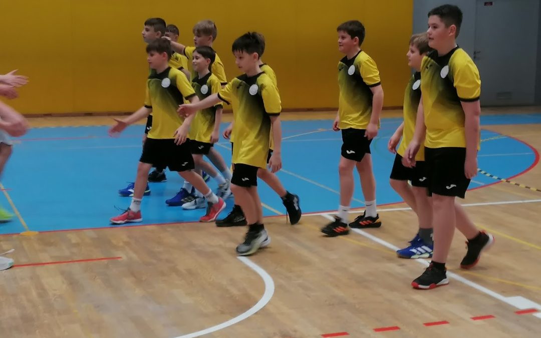 Področno tekmovanje v košarki za mlajše učence